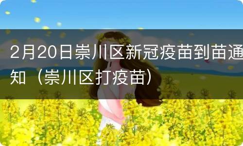 2月20日崇川区新冠疫苗到苗通知（崇川区打疫苗）