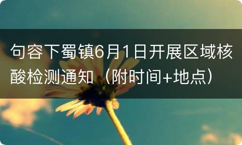 句容下蜀镇6月1日开展区域核酸检测通知（附时间+地点）