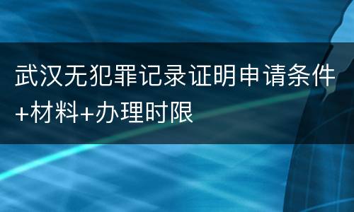 武汉无犯罪记录证明申请条件+材料+办理时限