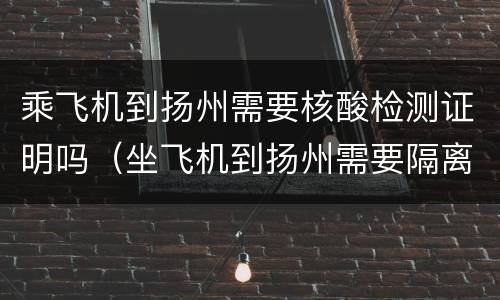 乘飞机到扬州需要核酸检测证明吗（坐飞机到扬州需要隔离吗）