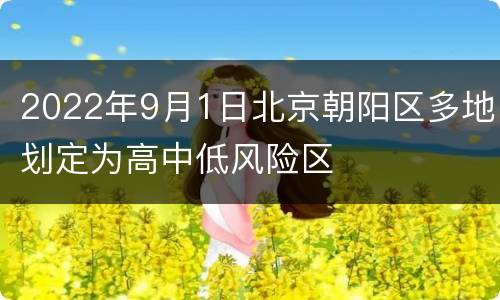 2022年9月1日北京朝阳区多地划定为高中低风险区