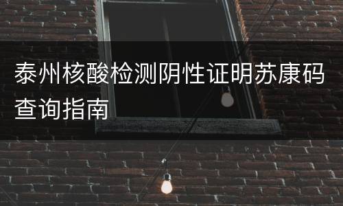 泰州核酸检测阴性证明苏康码查询指南