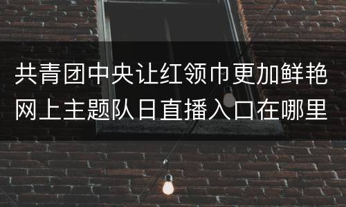 共青团中央让红领巾更加鲜艳网上主题队日直播入口在哪里
