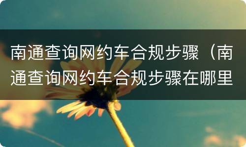 南通查询网约车合规步骤（南通查询网约车合规步骤在哪里查）