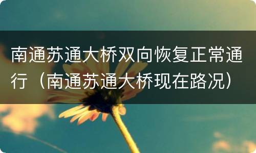 南通苏通大桥双向恢复正常通行（南通苏通大桥现在路况）