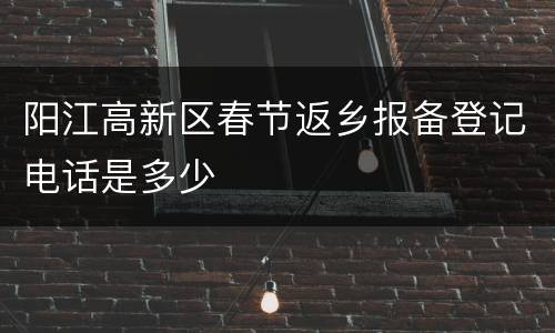 阳江高新区春节返乡报备登记电话是多少