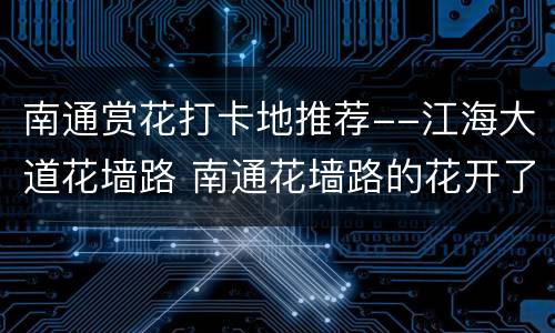 南通赏花打卡地推荐--江海大道花墙路 南通花墙路的花开了吗
