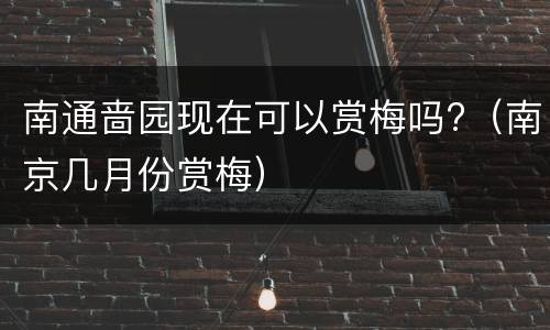 南通啬园现在可以赏梅吗?（南京几月份赏梅）