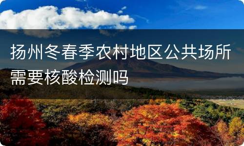 扬州冬春季农村地区公共场所需要核酸检测吗