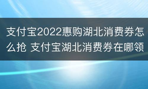 支付宝2022惠购湖北消费券怎么抢 支付宝湖北消费券在哪领