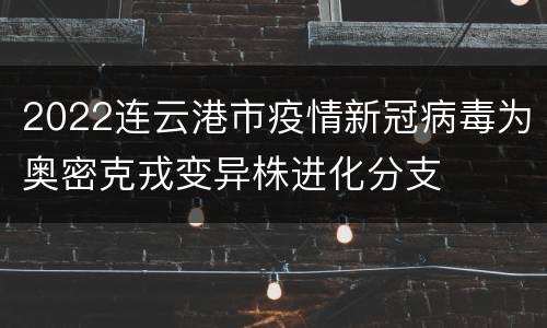 2022连云港市疫情新冠病毒为奥密克戎变异株进化分支