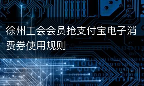 徐州工会会员抢支付宝电子消费券使用规则