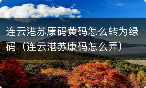 连云港苏康码黄码怎么转为绿码（连云港苏康码怎么弄）