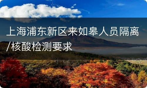 上海浦东新区来如皋人员隔离/核酸检测要求