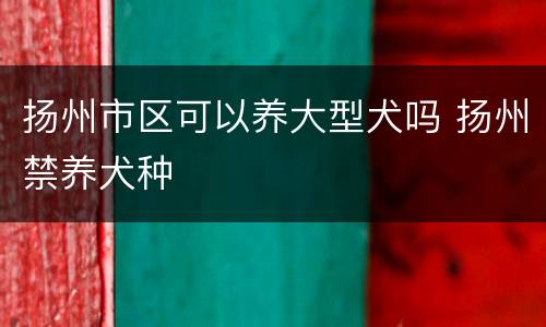 扬州市区可以养大型犬吗 扬州禁养犬种