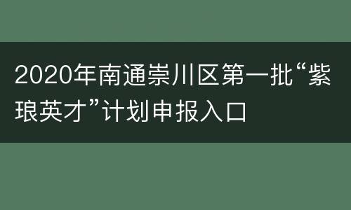 2020年南通崇川区第一批“紫琅英才”计划申报入口