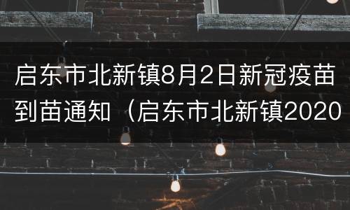 启东市北新镇8月2日新冠疫苗到苗通知（启东市北新镇2020年规划）