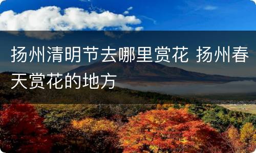 扬州清明节去哪里赏花 扬州春天赏花的地方