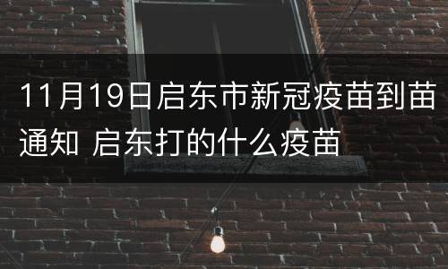 11月19日启东市新冠疫苗到苗通知 启东打的什么疫苗