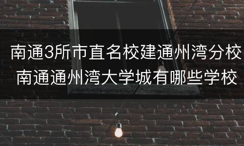 南通3所市直名校建通州湾分校 南通通州湾大学城有哪些学校