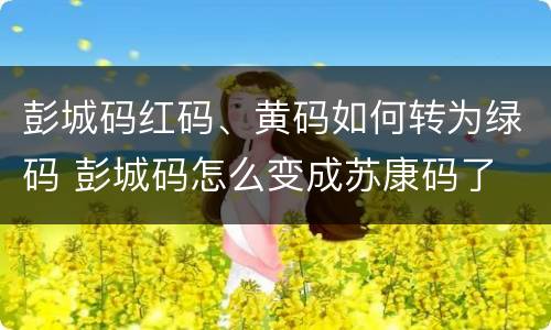 彭城码红码、黄码如何转为绿码 彭城码怎么变成苏康码了