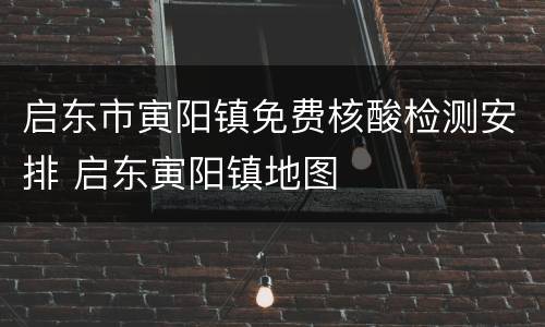 启东市寅阳镇免费核酸检测安排 启东寅阳镇地图