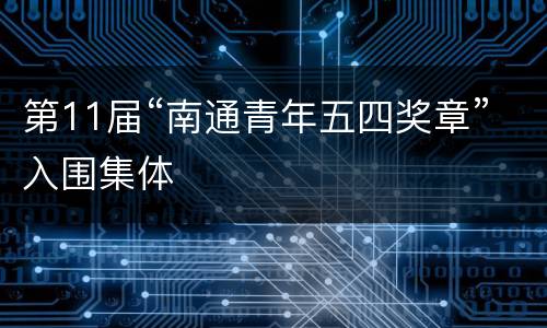 第11届“南通青年五四奖章”入围集体