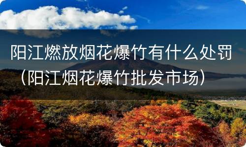 阳江燃放烟花爆竹有什么处罚（阳江烟花爆竹批发市场）