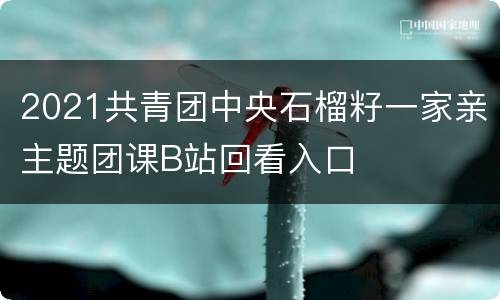 2021共青团中央石榴籽一家亲主题团课B站回看入口