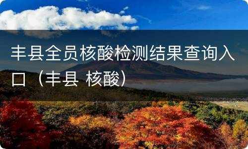 丰县全员核酸检测结果查询入口（丰县 核酸）