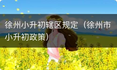 徐州小升初辖区规定（徐州市小升初政策）