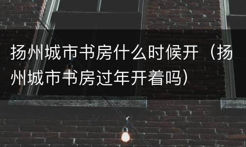 扬州城市书房什么时候开（扬州城市书房过年开着吗）