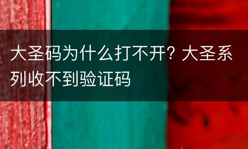 大圣码为什么打不开? 大圣系列收不到验证码