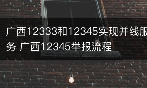 广西12333和12345实现并线服务 广西12345举报流程