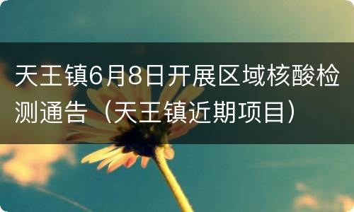 天王镇6月8日开展区域核酸检测通告（天王镇近期项目）