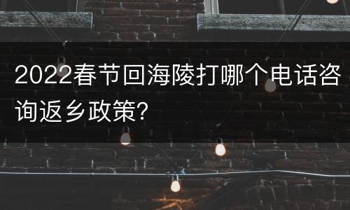 2022春节回海陵打哪个电话咨询返乡政策？