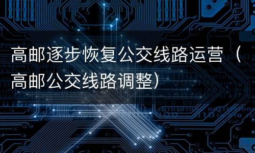 高邮逐步恢复公交线路运营（高邮公交线路调整）
