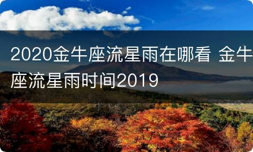 2020金牛座流星雨在哪看 金牛座流星雨时间2019