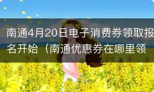 南通4月20日电子消费券领取报名开始（南通优惠券在哪里领）