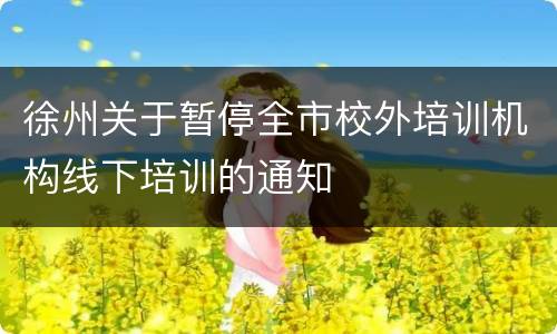 徐州关于暂停全市校外培训机构线下培训的通知