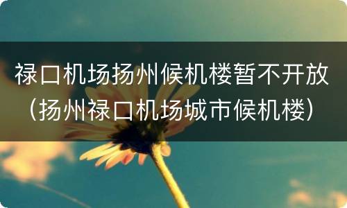 禄口机场扬州候机楼暂不开放（扬州禄口机场城市候机楼）
