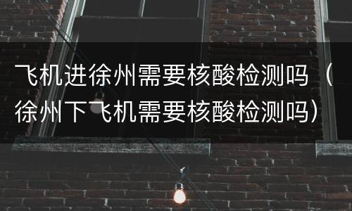 飞机进徐州需要核酸检测吗（徐州下飞机需要核酸检测吗）
