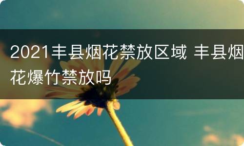 2021丰县烟花禁放区域 丰县烟花爆竹禁放吗