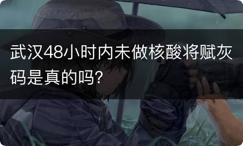 武汉48小时内未做核酸将赋灰码是真的吗？