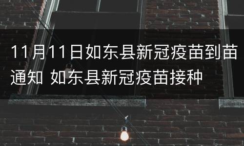 11月11日如东县新冠疫苗到苗通知 如东县新冠疫苗接种