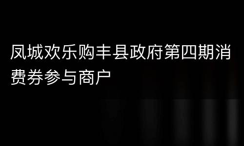 凤城欢乐购丰县政府第四期消费券参与商户