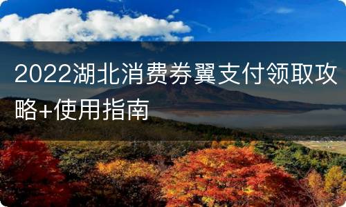 2022湖北消费券翼支付领取攻略+使用指南
