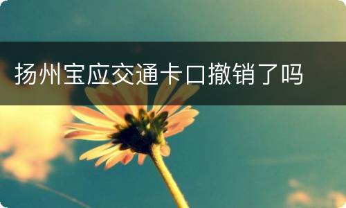 扬州宝应交通卡口撤销了吗