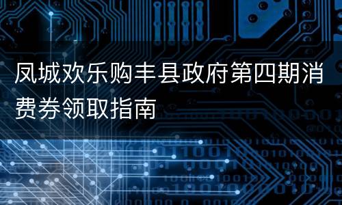 凤城欢乐购丰县政府第四期消费券领取指南