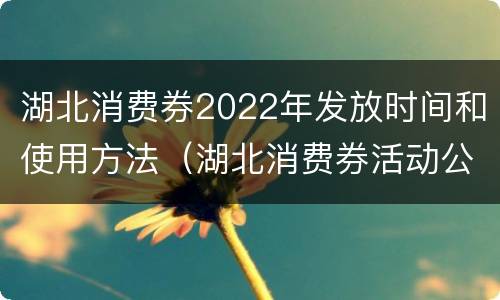 湖北消费券2022年发放时间和使用方法（湖北消费券活动公告）